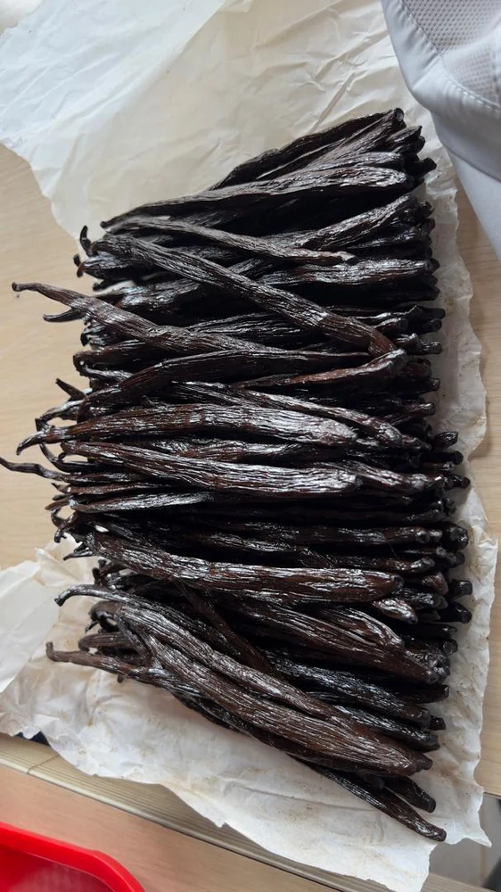 Vanilla Seeds