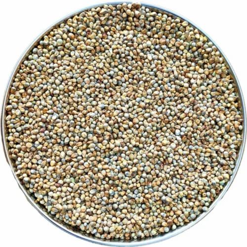 Grey Organic Pearl Millet