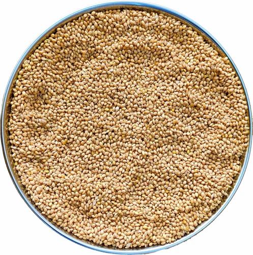 Organic Foxtail Millet
