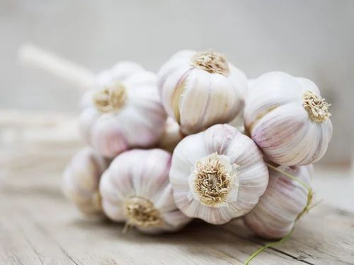 Organic Fresh White Garlic