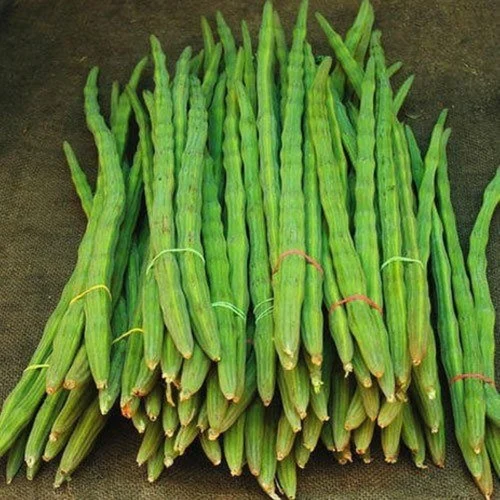 Organic Fresh Green Drumstick