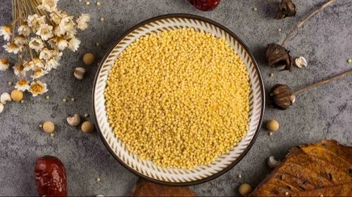 Organic Proso Millet