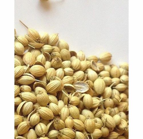 Dried Brown Organic Coriander Seed, Form: Seeds