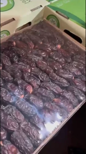 Fresh Safawi Kalmi Dates