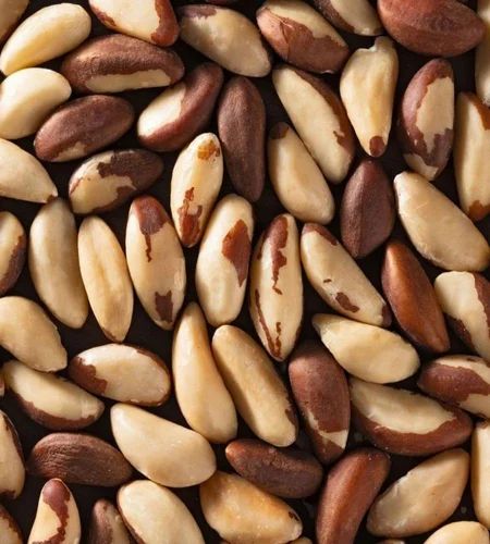 250gm Nuts Uncle Premium Brazil Nut, Whole, Large