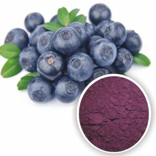 Blueberry Extract Powder