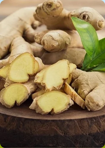 Organic Fresh Ginger