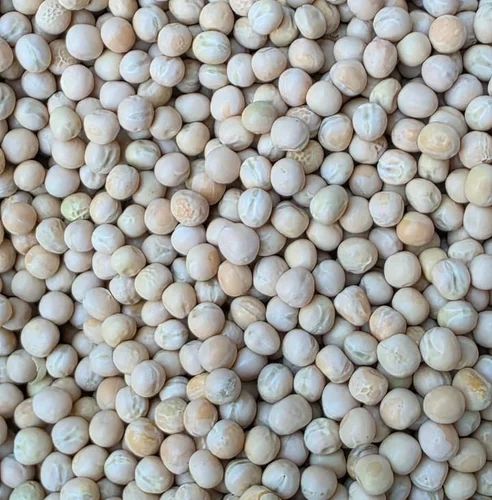Organic White Dry Peas