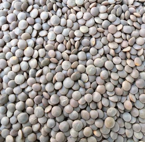 Organic Masoor Whole / Masoor Brown