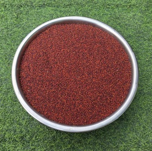 Organic Finger Millet