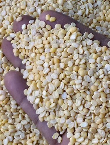 Organic Mogar Moong Dal, Dried