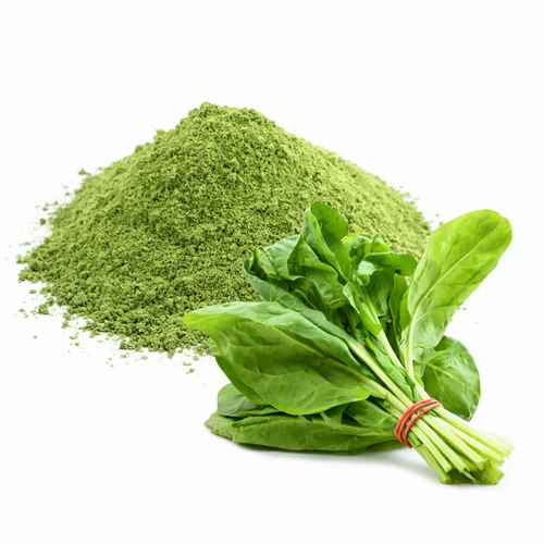 Dehydrated Spinach Leaves Powder