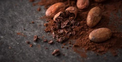 Theobromine Extract Powder