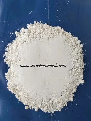 Shree Botanical Resources Tamarind Kernel Powder (TKP)