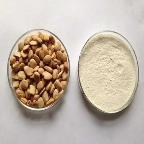 50Kg Tamarind Kernel Powder, Packaging Type: Bag