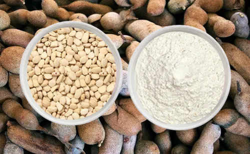 Tamarind Kernel Powder, 50 kg