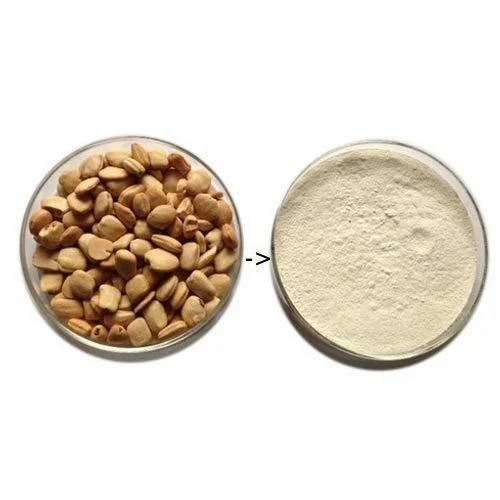 Tamarind Kernel Powder Tkp, 50 kg
