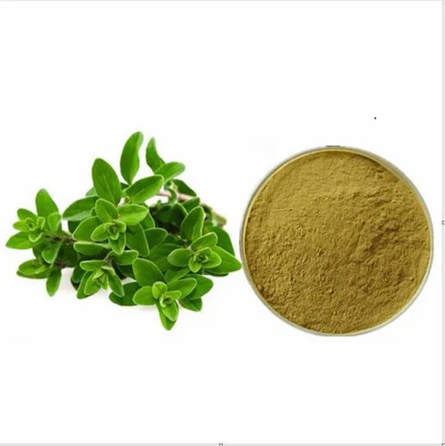 Dried Oregano Powder