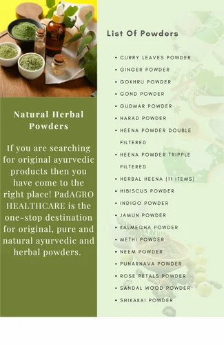 Dehydrated Pumpkin Powder