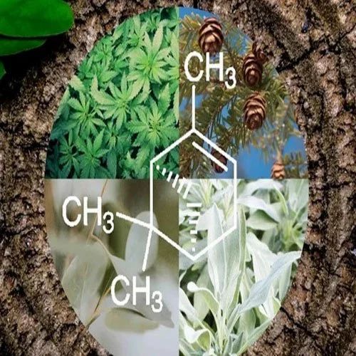 Alpha Pinene Chemical Manufacturers, Suppliers, Exporters From Vasai Mumbai India