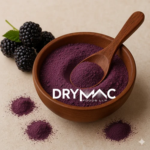 Drymac Foods LLP Spray Dried Blackberry Powder (25 kg)