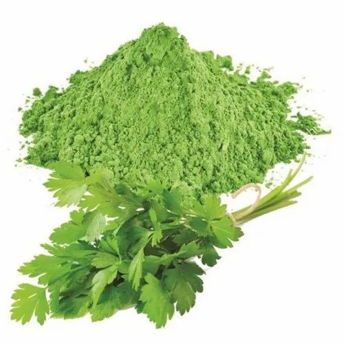 Green Dhaniya Leaves Powder, Packaging Size: 10 & 25 KG