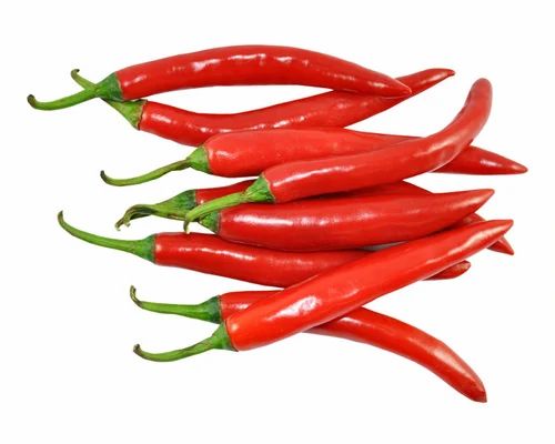 Vietnam Organic Fresh Chili Super Spicy Spices