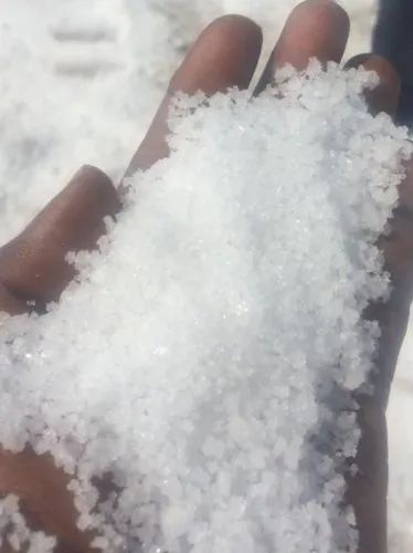 Pure White White Crystalline Refined Salt, Packaging Type: HDPE bags, Grade: Food Grade