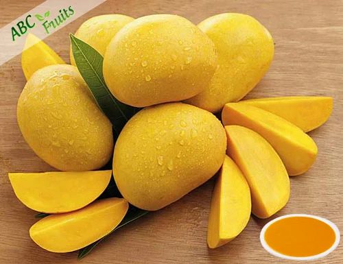 ABC Fruits Naturally Ripened Alphonso Mango Puree, For Juices, Packaging Type: Barrel