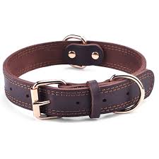 Dog Collar