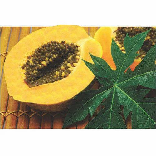 Yellow Papaya Pulp