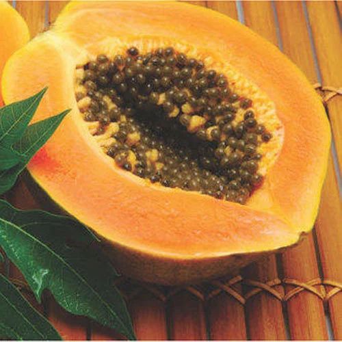 Red Papaya Puree Concentrate