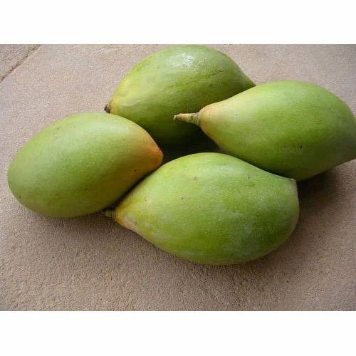 Raw Mango