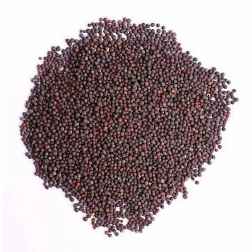 Loose Organic Mustard Seed
