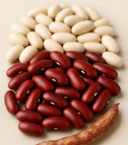 White Red Rajma Dal, Packaging Size: 50 kg