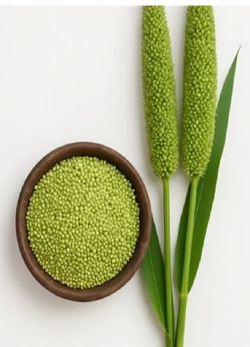 Green Millet Grain, For Human Consumption