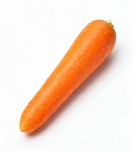 Organic Fresh Orange Carrot