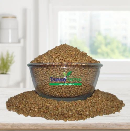 Organic Moth Bean Whole (30 kg)