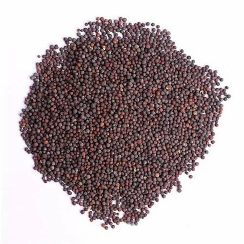 Organic Mustard Seed, 40kg