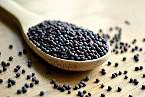 Organic Mustard Seed, Loose