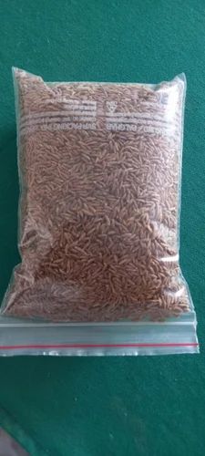 EUROPE BOLD CUMIN SEEDS, Whole, 25 kg