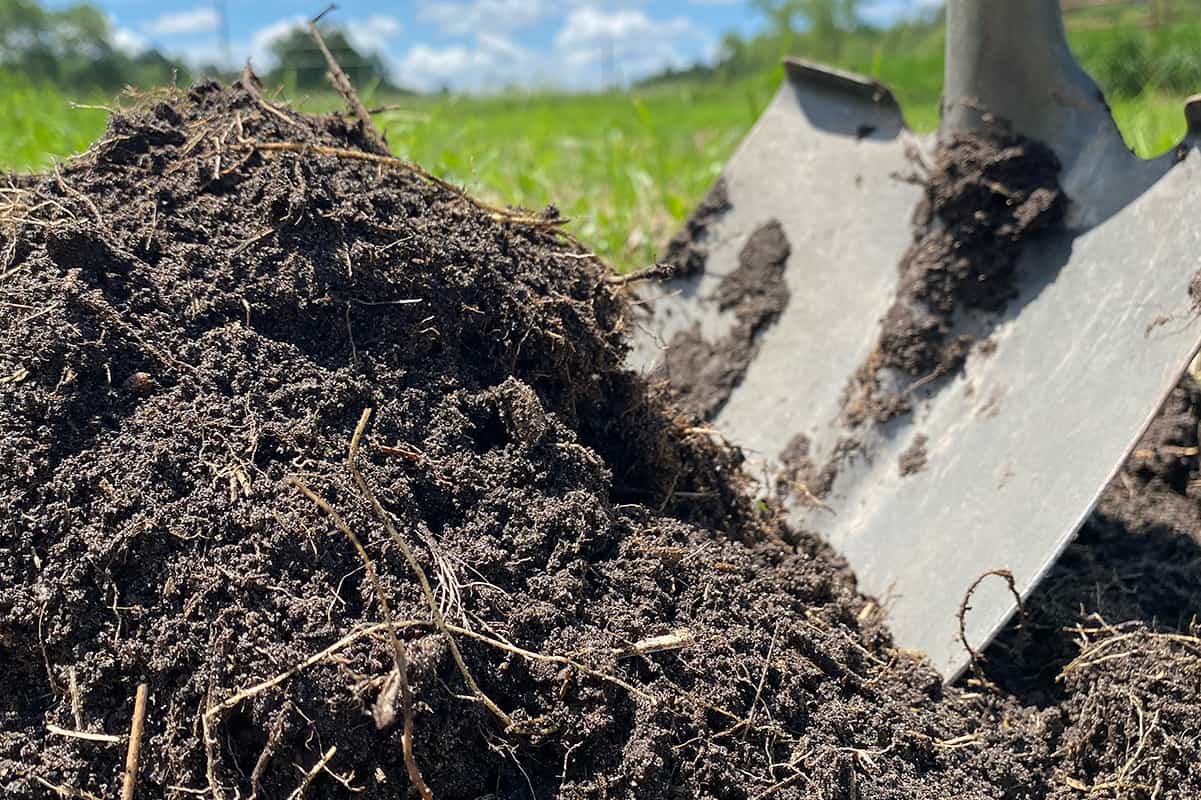Organic Plant Fertilizer