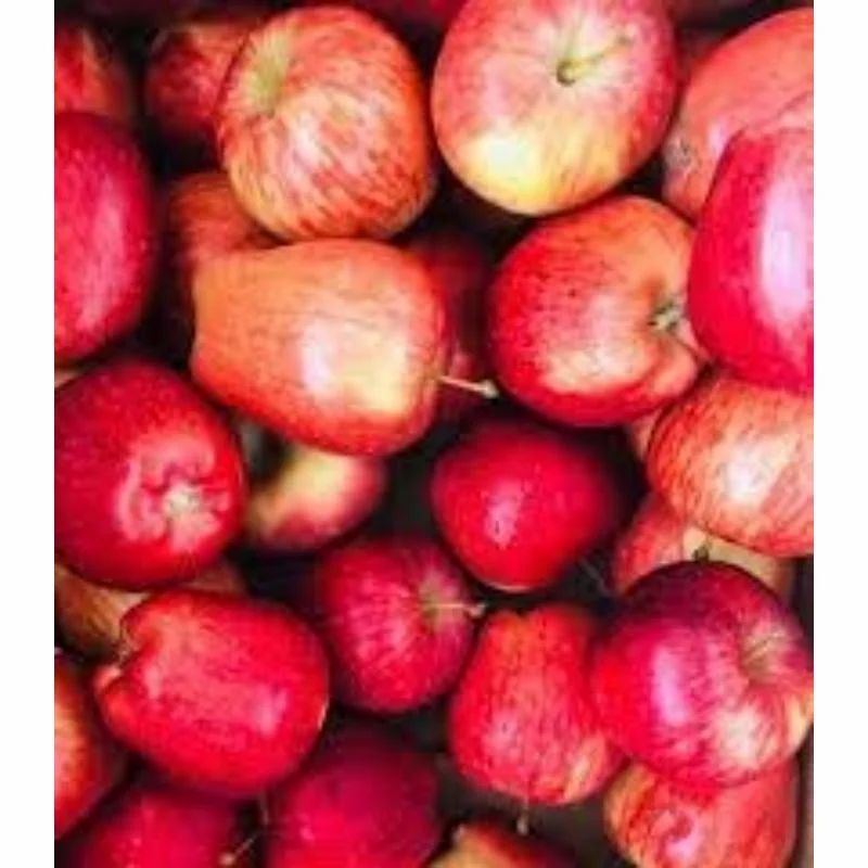 Rose Apple