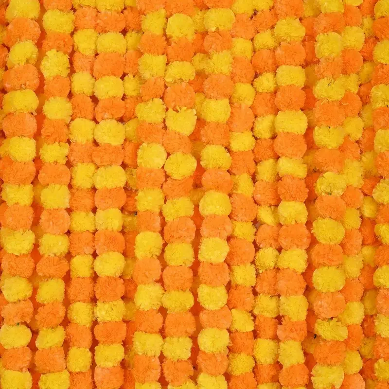 Marigold Flower