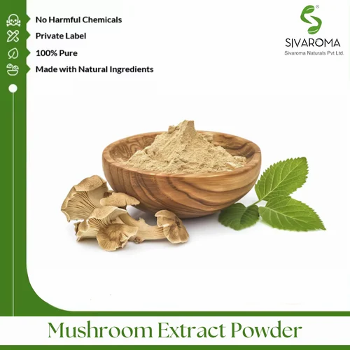 Mushroom Extract Powder, Packaging Size: 25Kg