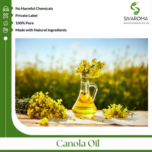Cold Pressed Canola Oil