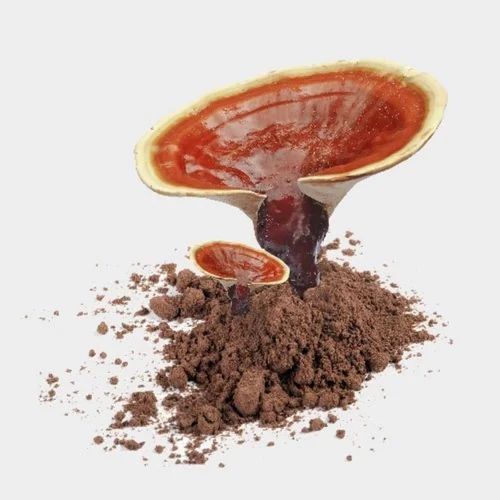 Reishi Mushroom Extract Powder, Grade: Food Grade