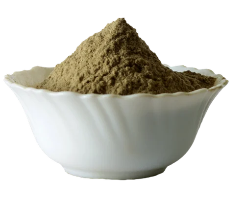Moringa Fruit Drumstick Powder, 25 kg