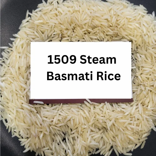 1509 Steam Basmati Rice, 25 Kg