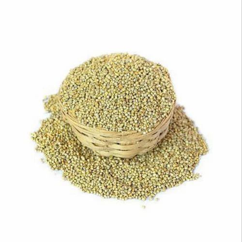 Natural Pearl Millet, High in Protein